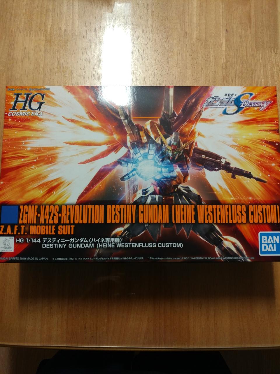 HG 데스티니 건담 하이네