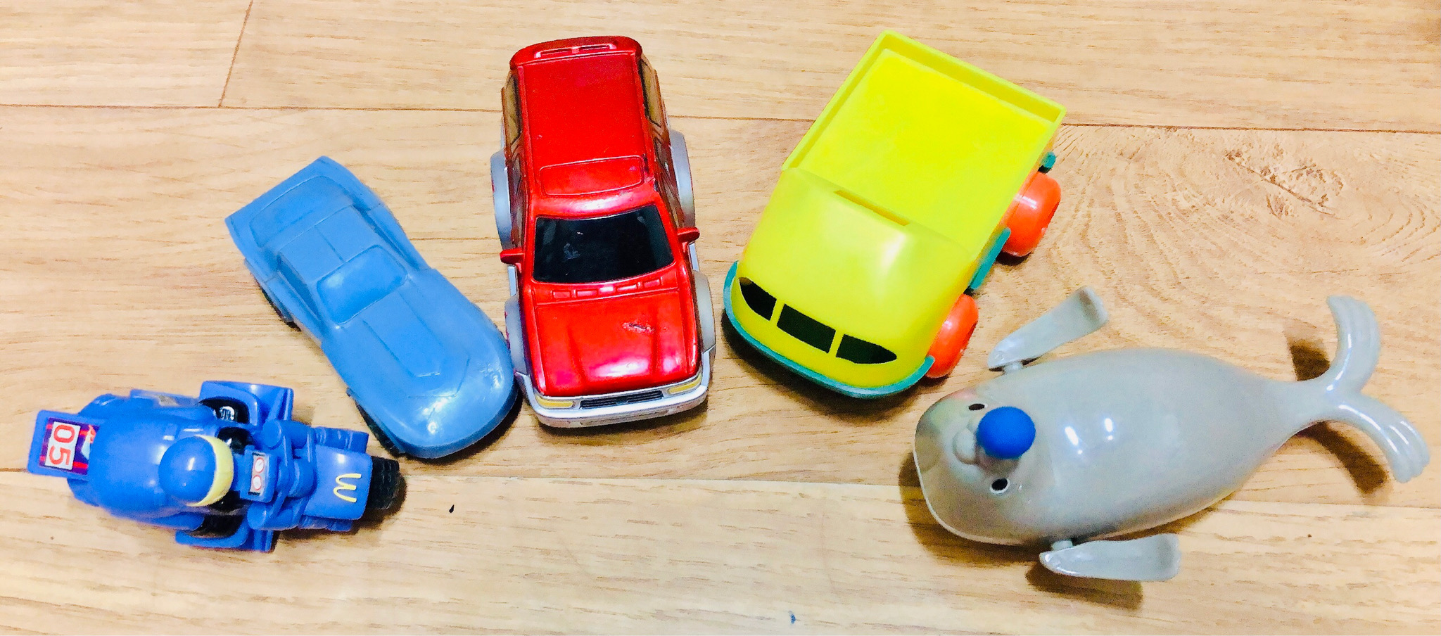 부릉부릉 자동차+오토바이+아기 물개