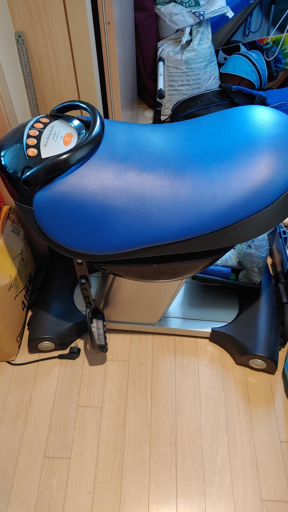 승마운동(말타기)