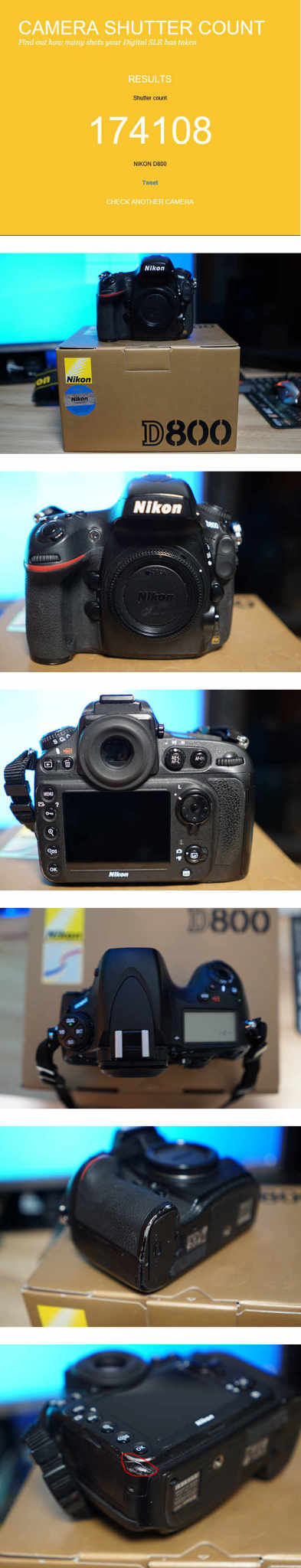 니콘 정품 D800