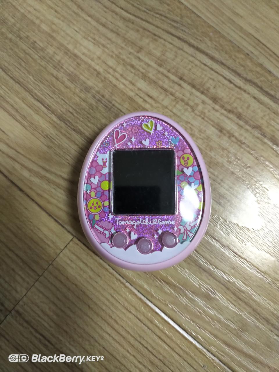 반다이 다마고치 섬