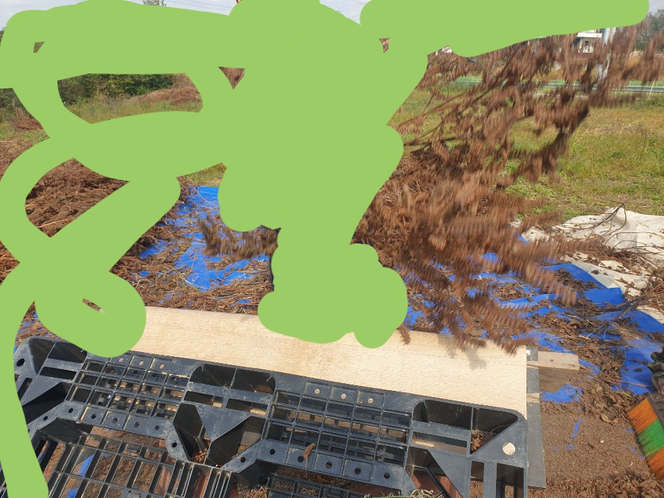 들깨,들기름 판매합니다(들기름 에약주문입니다)