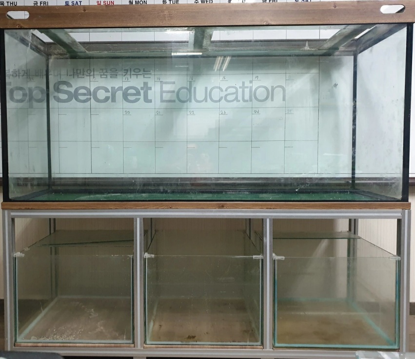 6자(180cm) 어항 나눔