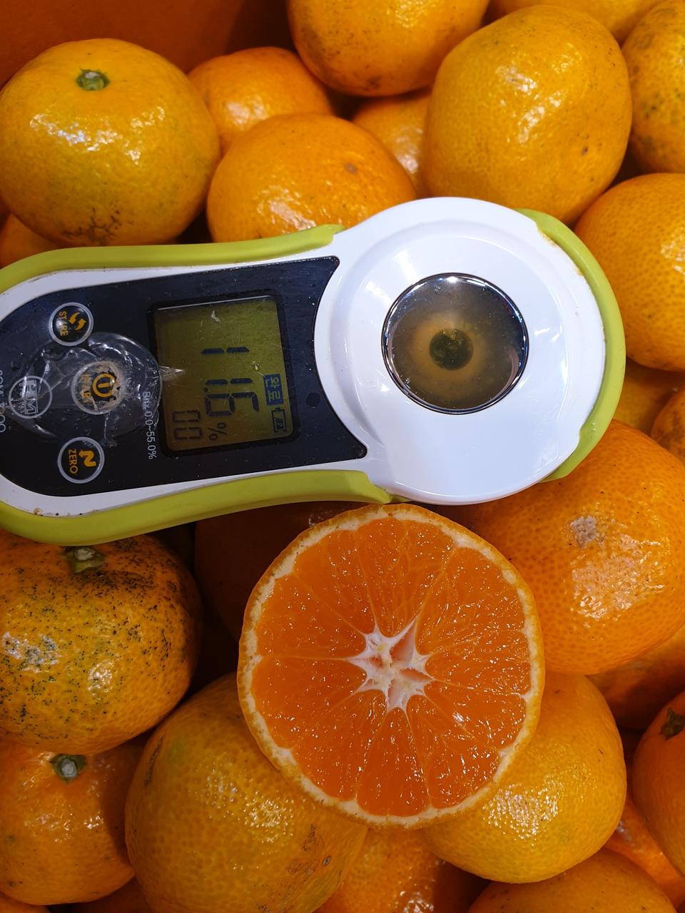 제주감귤 로얄싸이즈S 5kg/10kg