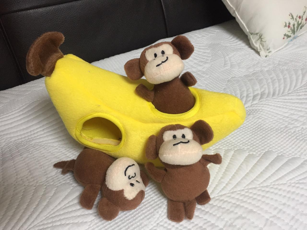 노즈워크바나나와 백팩하네스