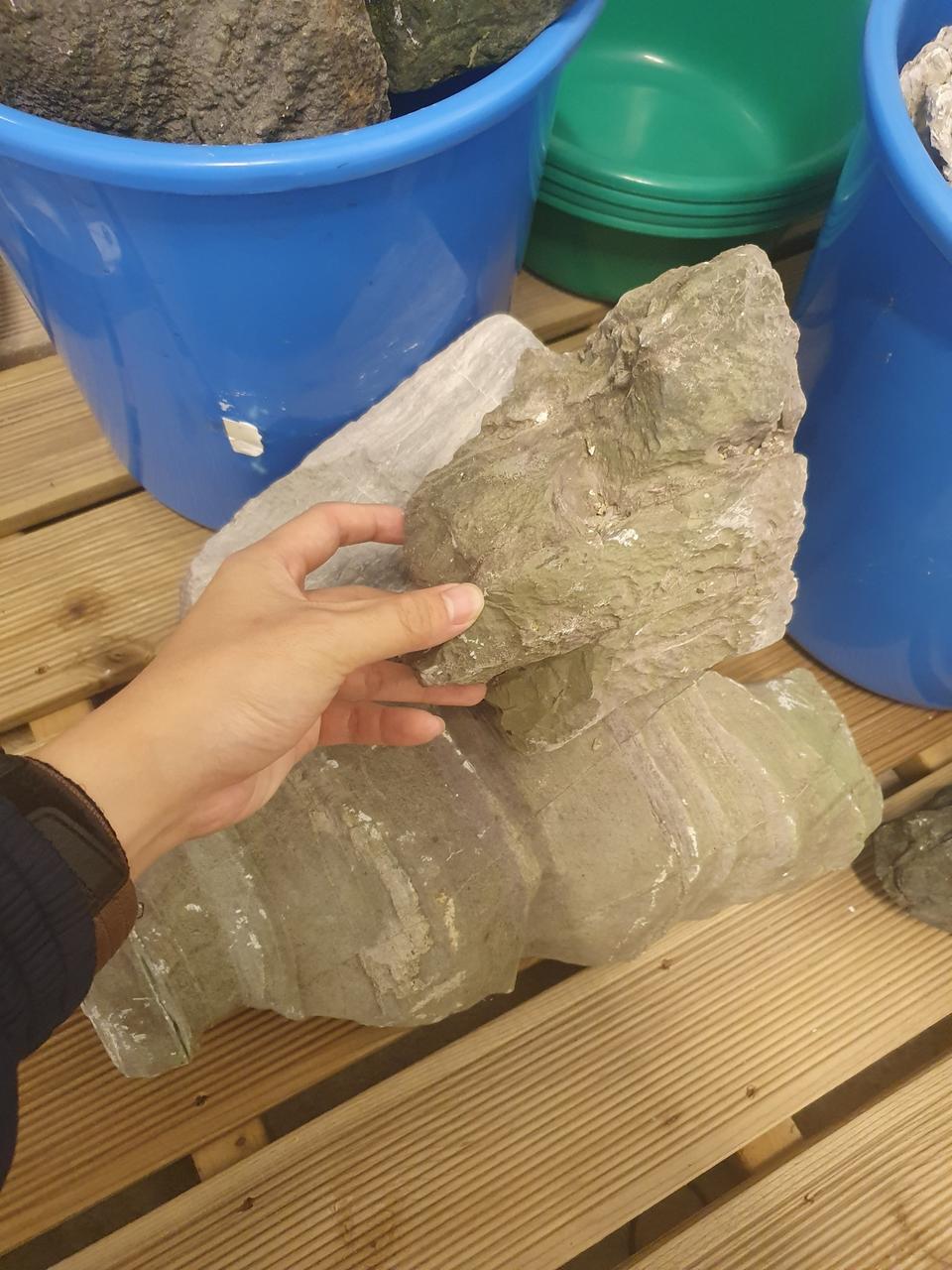 다양한 크기의 수석 판매합니다. (어항돌)