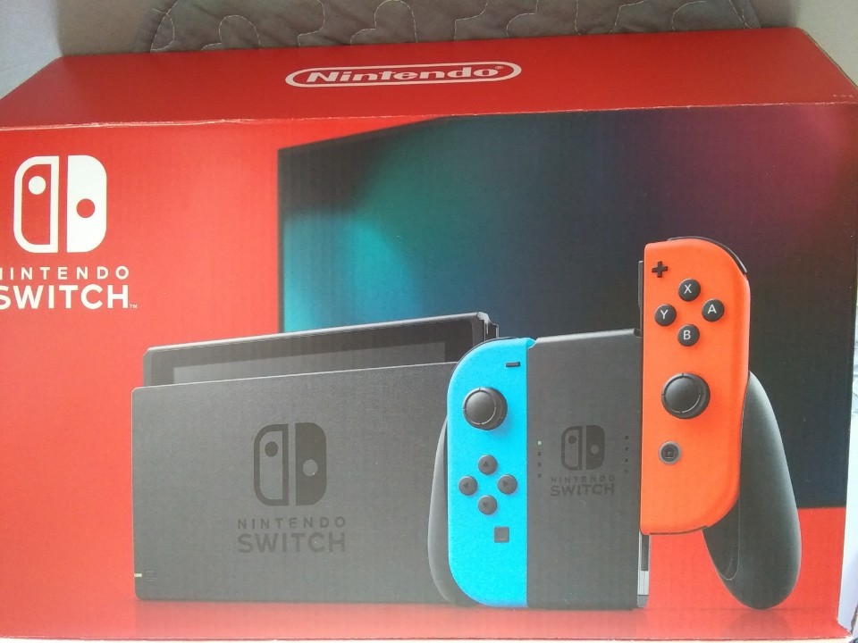 닌텐도스위치 네온 튀동숲칩