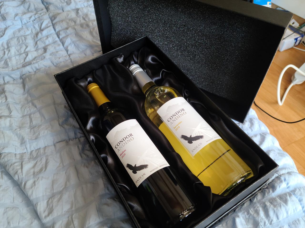 안다르 콘디노 셋트