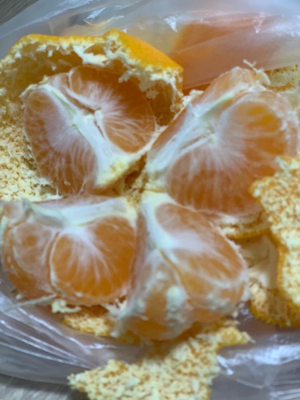 [새상품] 창원 -> 제주