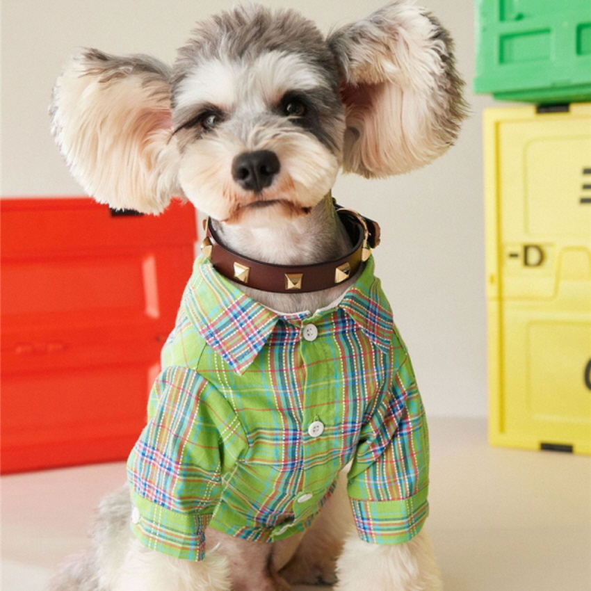 라이트그린 와이셔츠 S-2XL 강아지의류 애견옷 강아지셔츠 사계절용