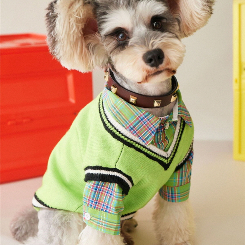 라이트그린 니트조끼 S-2XL 강아지니트 애견니트 조끼 강아지의류 애견옷