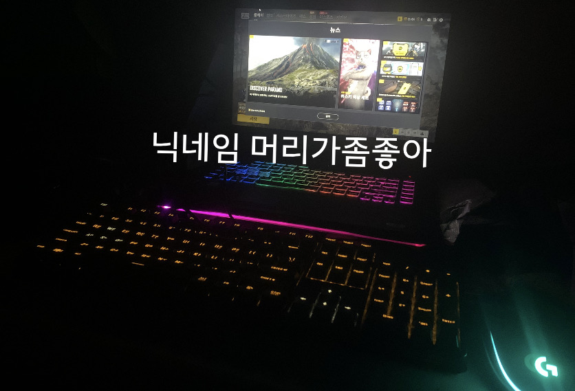 아수스 게이밍 노트북 갤럭시북 플렉스 제피러스듀오 젠북프로듀오