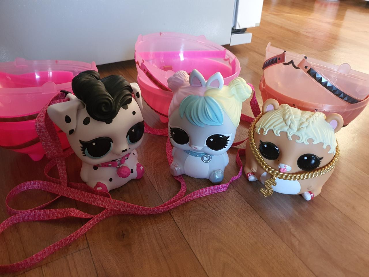 lol서프라이즈 비기 펫 세트