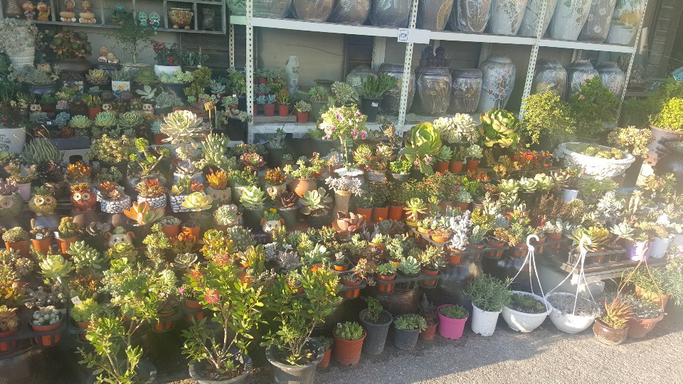 바비브라운 브러쉬