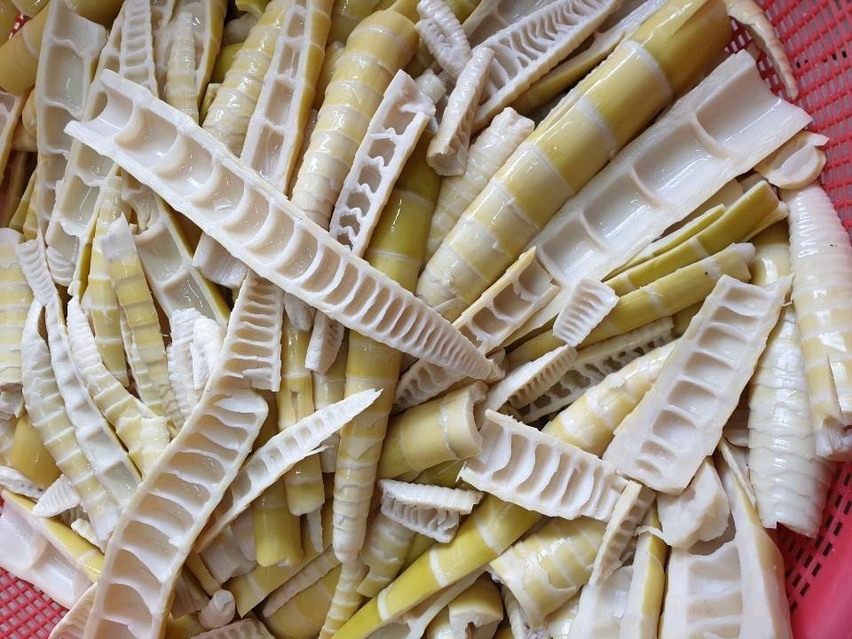 햇 삶은 죽순 2킬로 [산지직송]