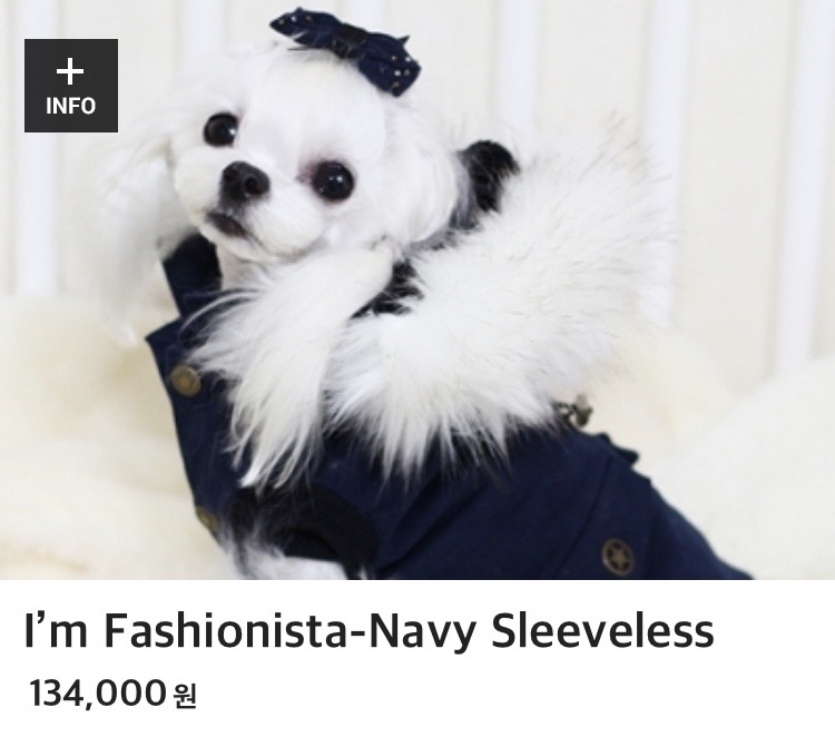 두유노 몽타주 야상 M 네이비