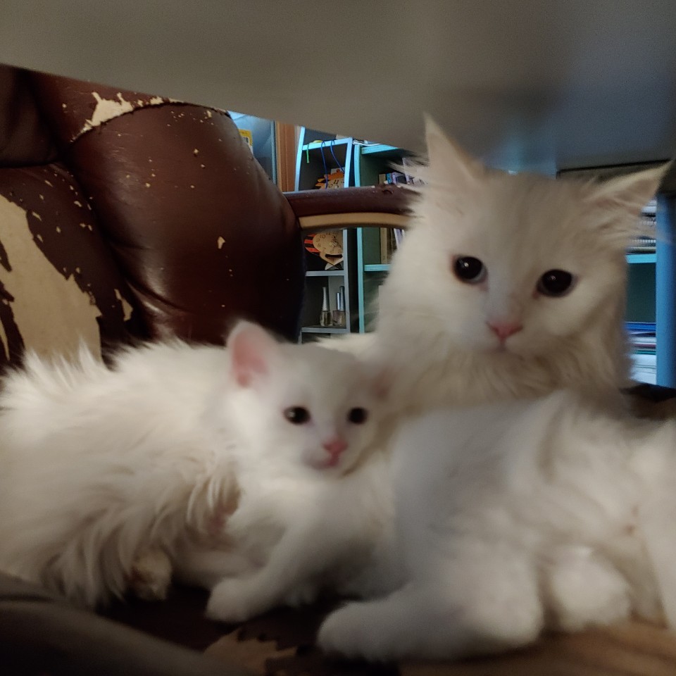 LG A505 배터리 CD저장장치