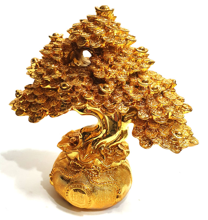 돈이 열린나무 돈나무 (금전수,생명수)