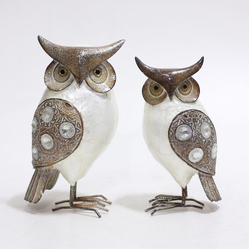 회색자개부엉이 (대사이즈)