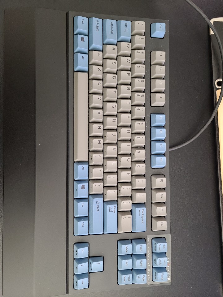 리얼포스 텐키리스 그레이/블루 저소음 APC 영문 균등(30g) 