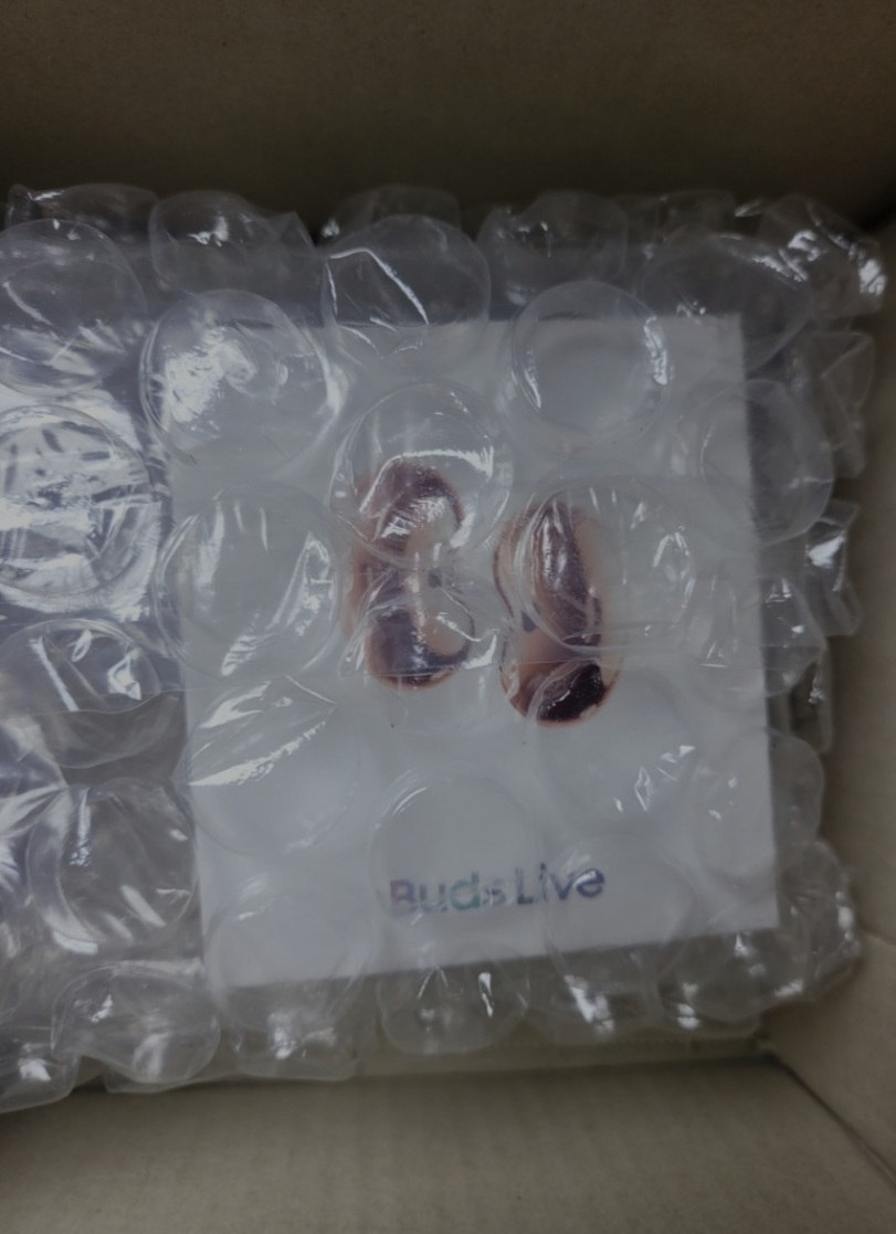 버즈 라이브(브른즈)