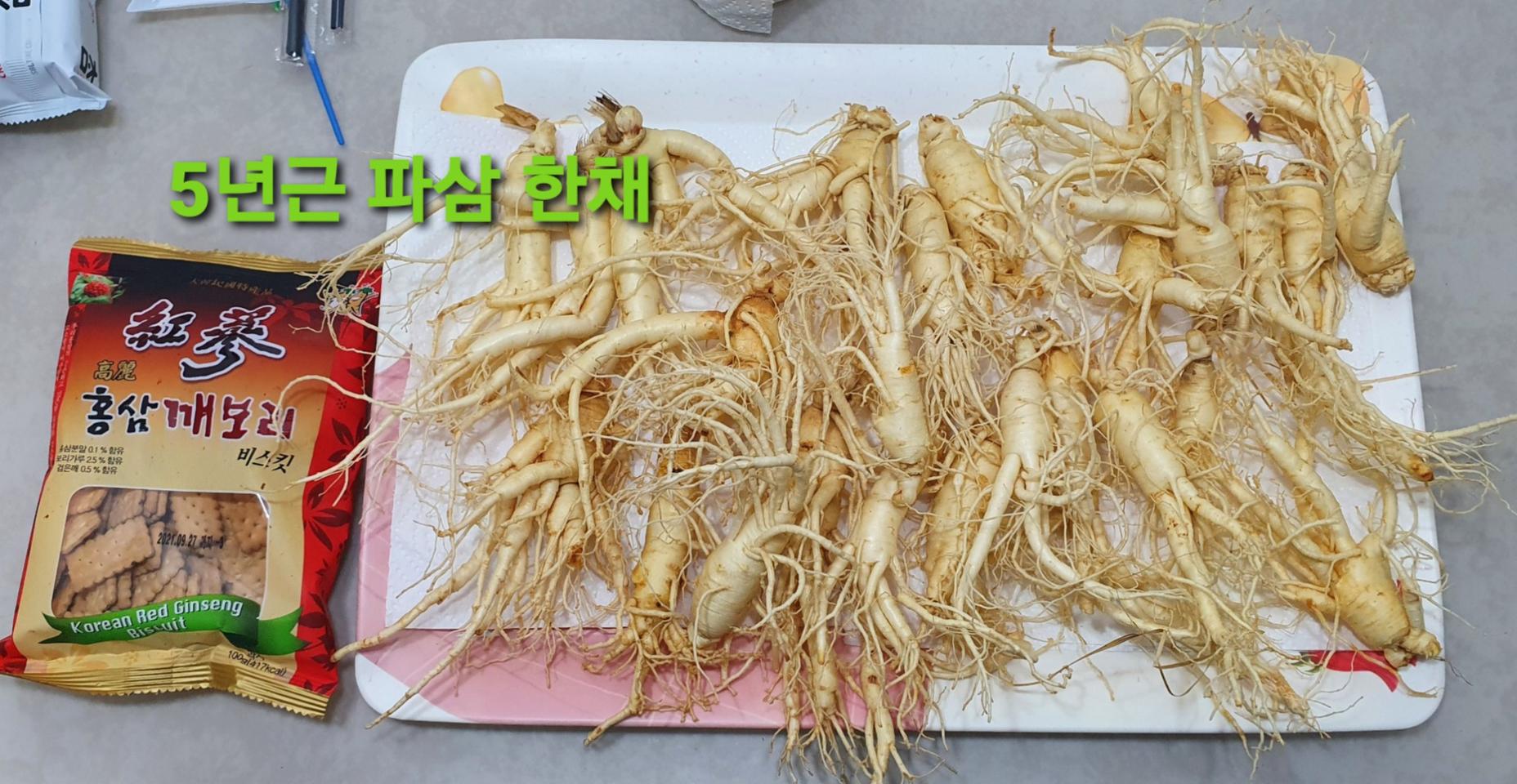 인삼.비품 파삼