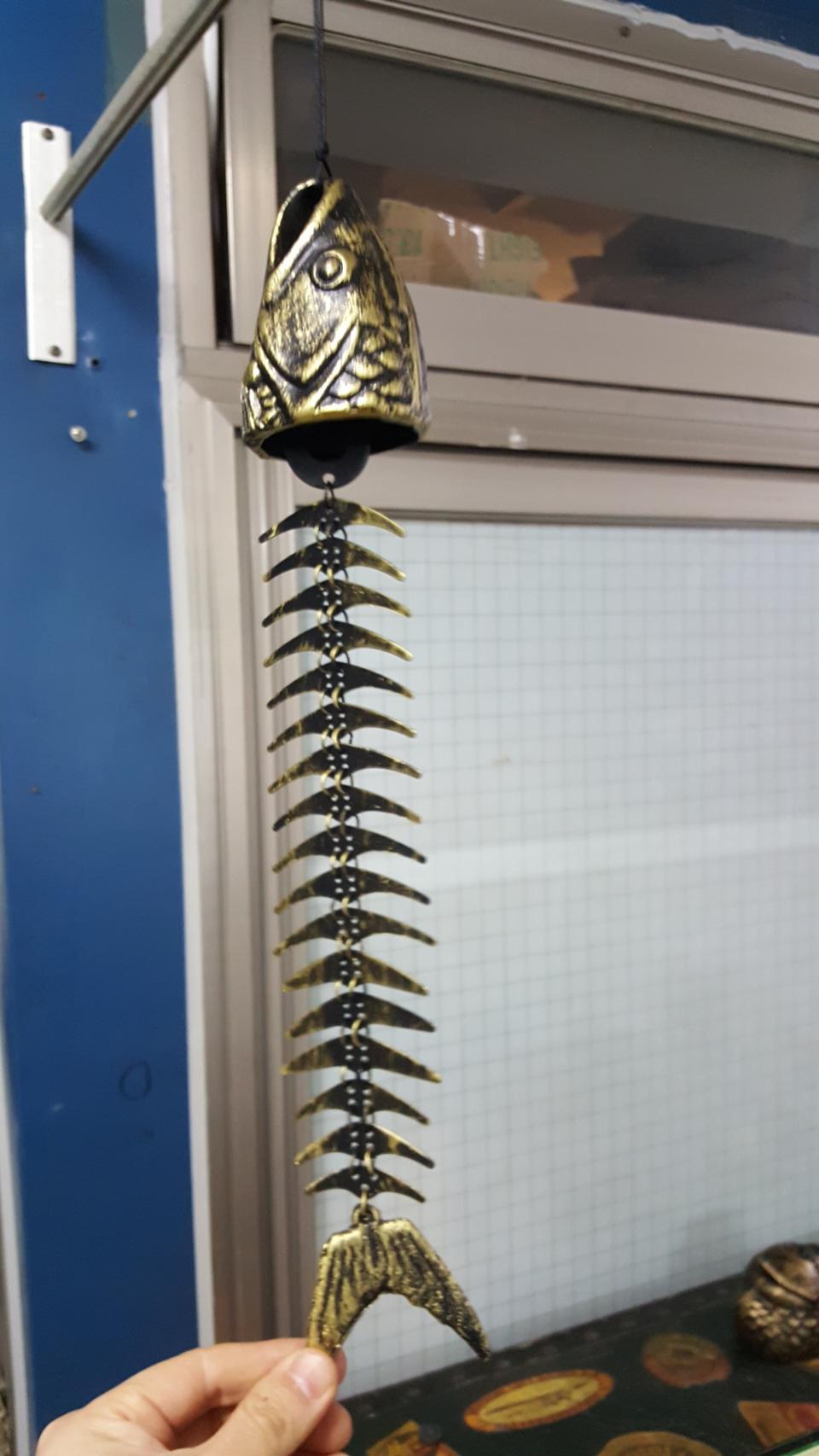 물고기 가시  풍경