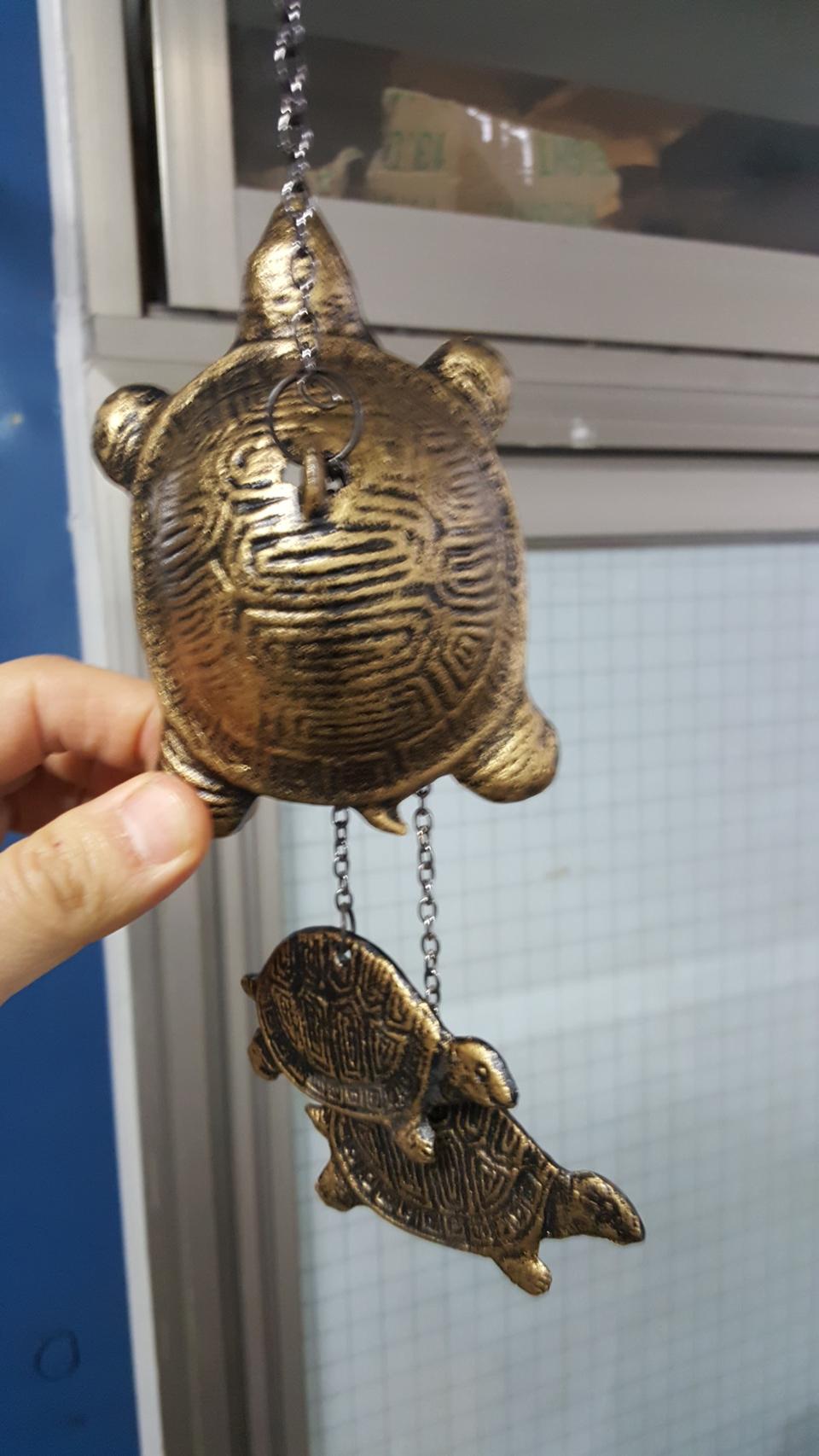 장수 거북이 풍경