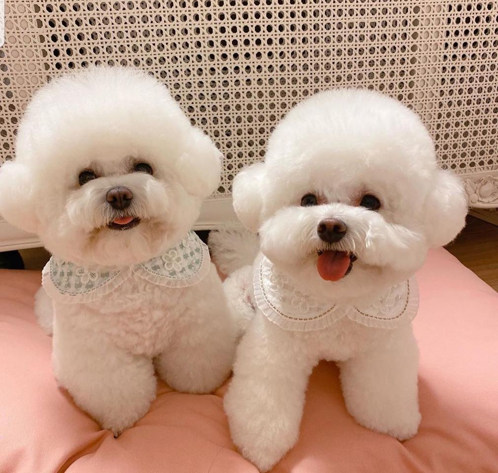 아동신발 전부다해서 만원