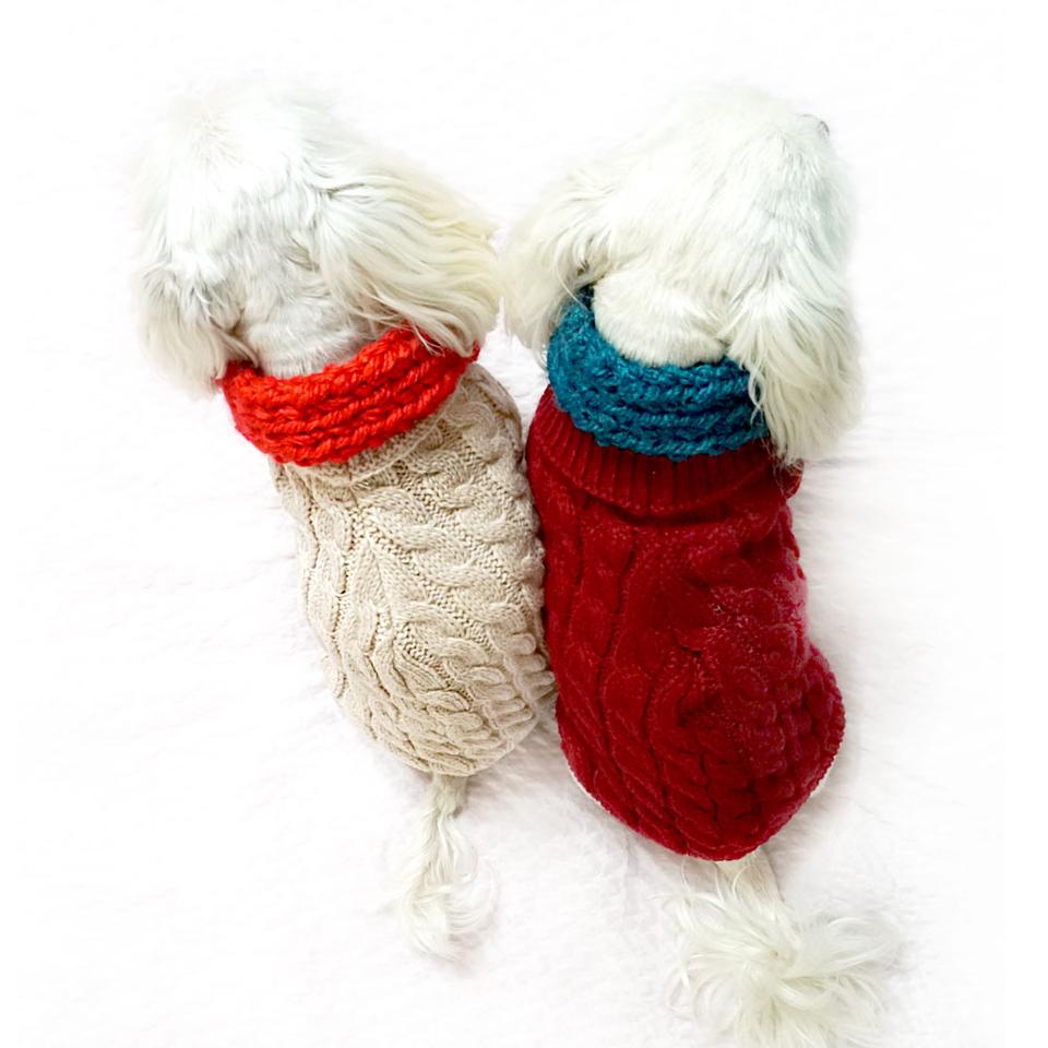 강아지 겨울 니트 옷 애견 터틀넥 목 티