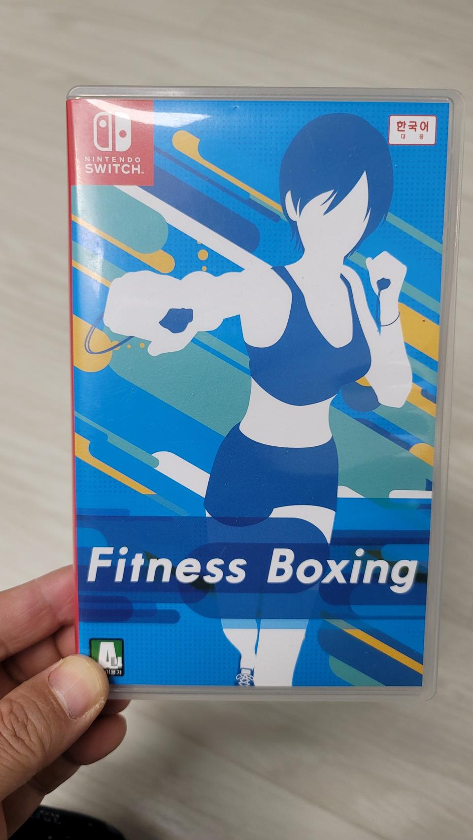 닌텐도 스위치 피트니스 복싱