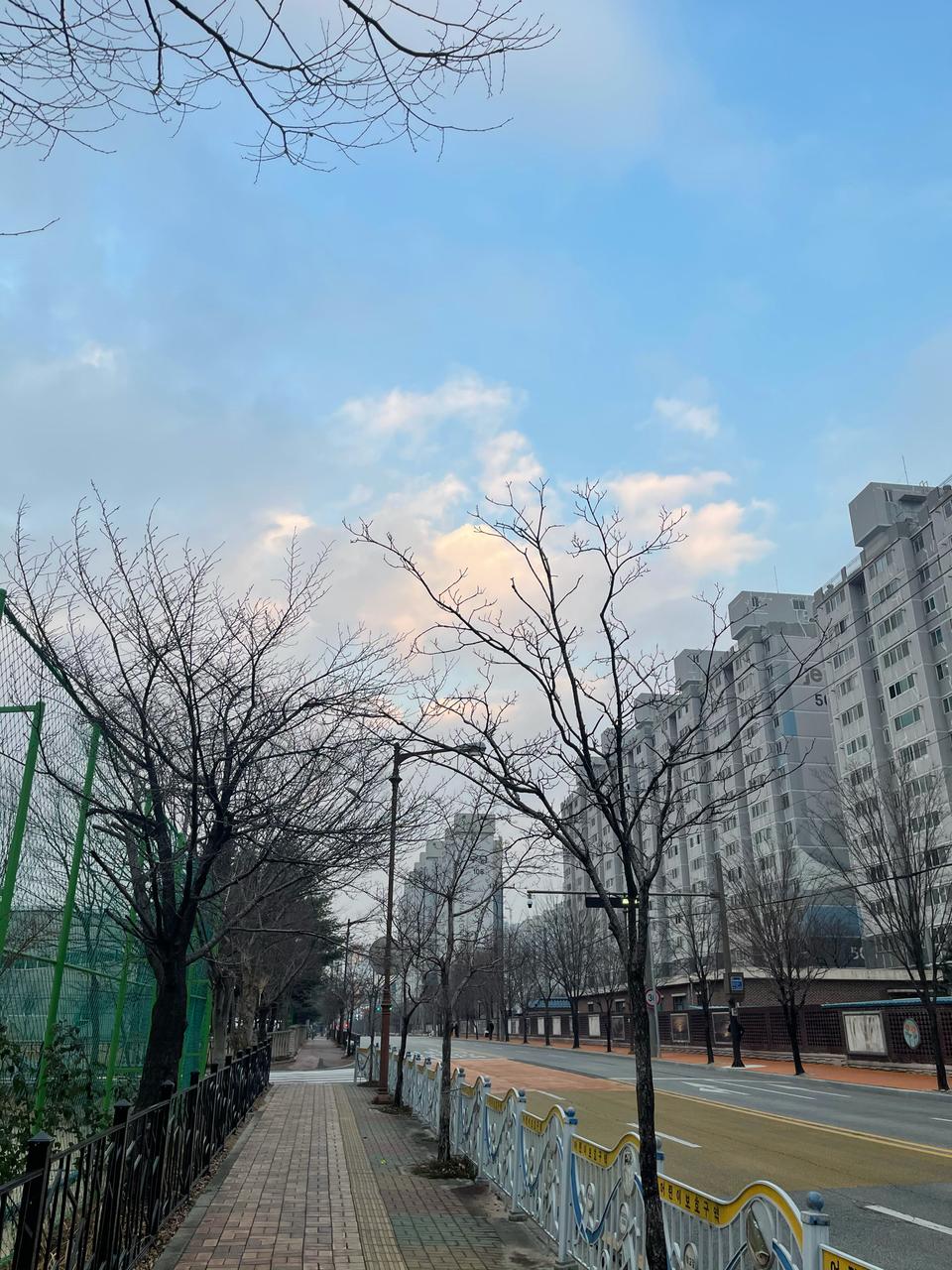 닌텐도스위치동숲에디션풀박스/ 칩없어요