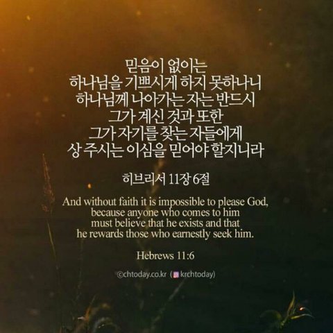 상품 상세 회원 프로필 이미지