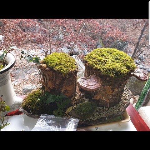 모바일 상품 회원 프로필 이미지