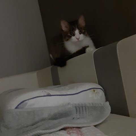 모바일 상품 회원 프로필 이미지
