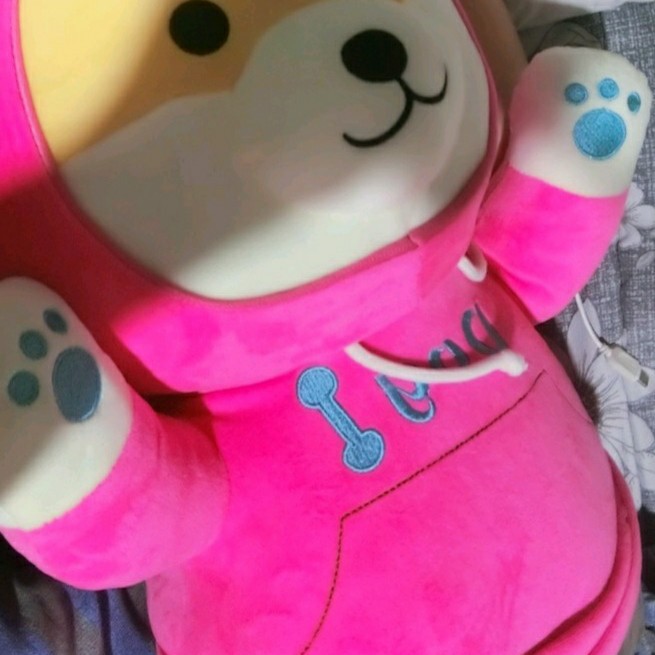 profileImg