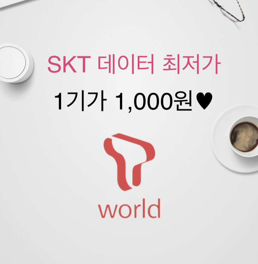[최저가] SKT데이터 1기가 1000원