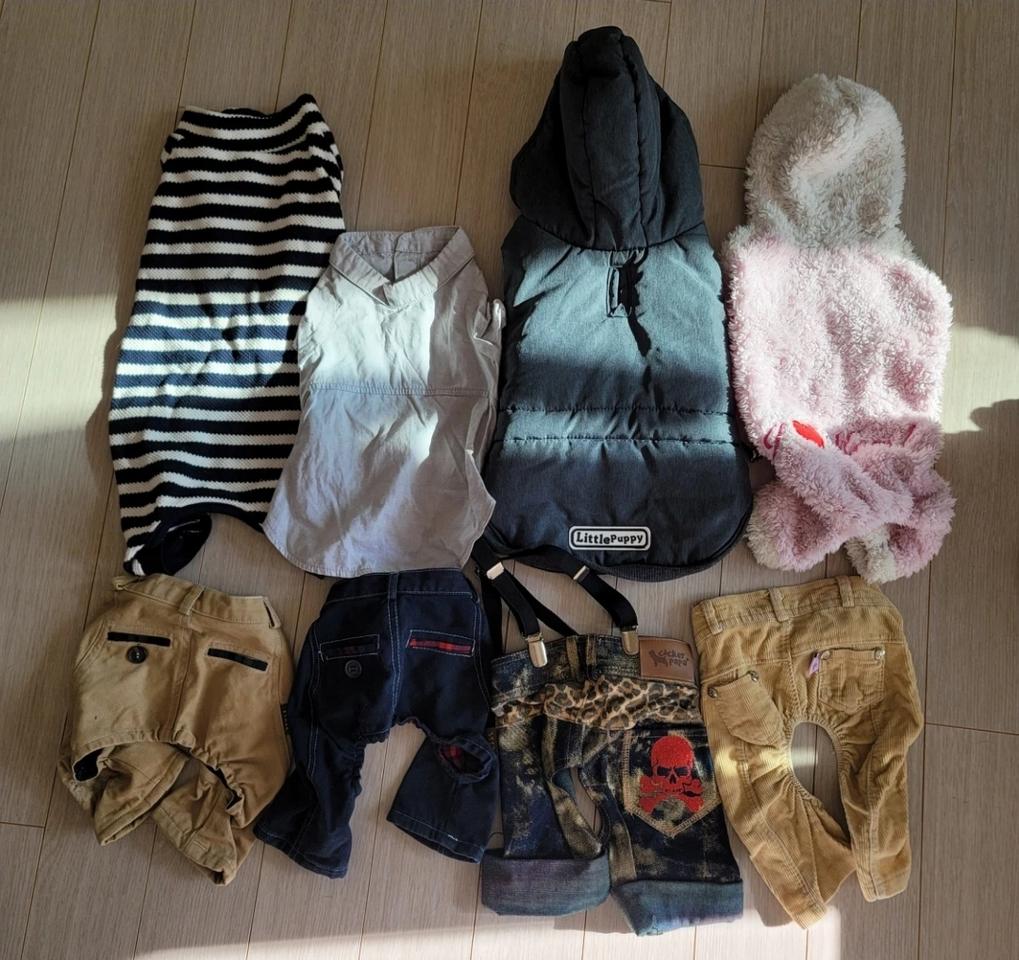 애견.묘 L사이즈 옷들.