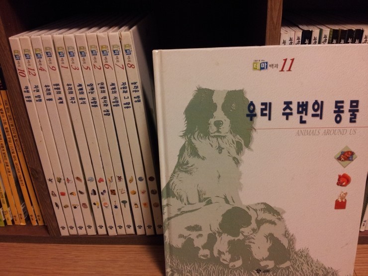 탐구하는 아이를위한 사이언스프렌드 (교원)전42권 풀셋