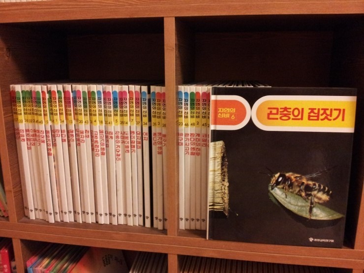자연의신비(중앙교육연구원) 전50권풀셋