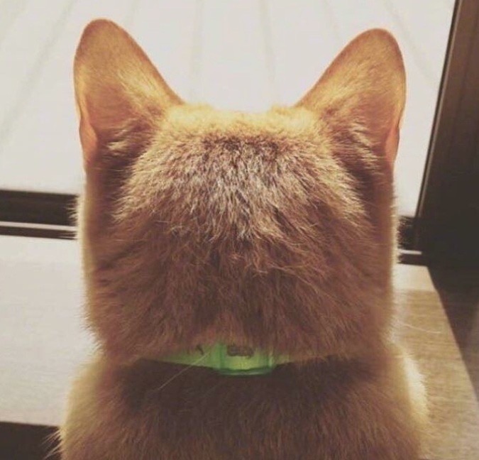 A10사이클론 SA 팝니다