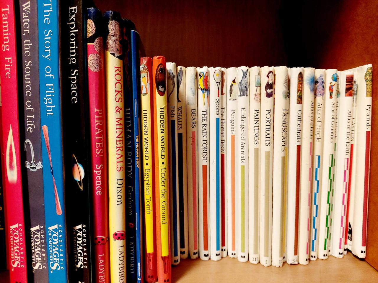 첫발견시리즈 영어원서