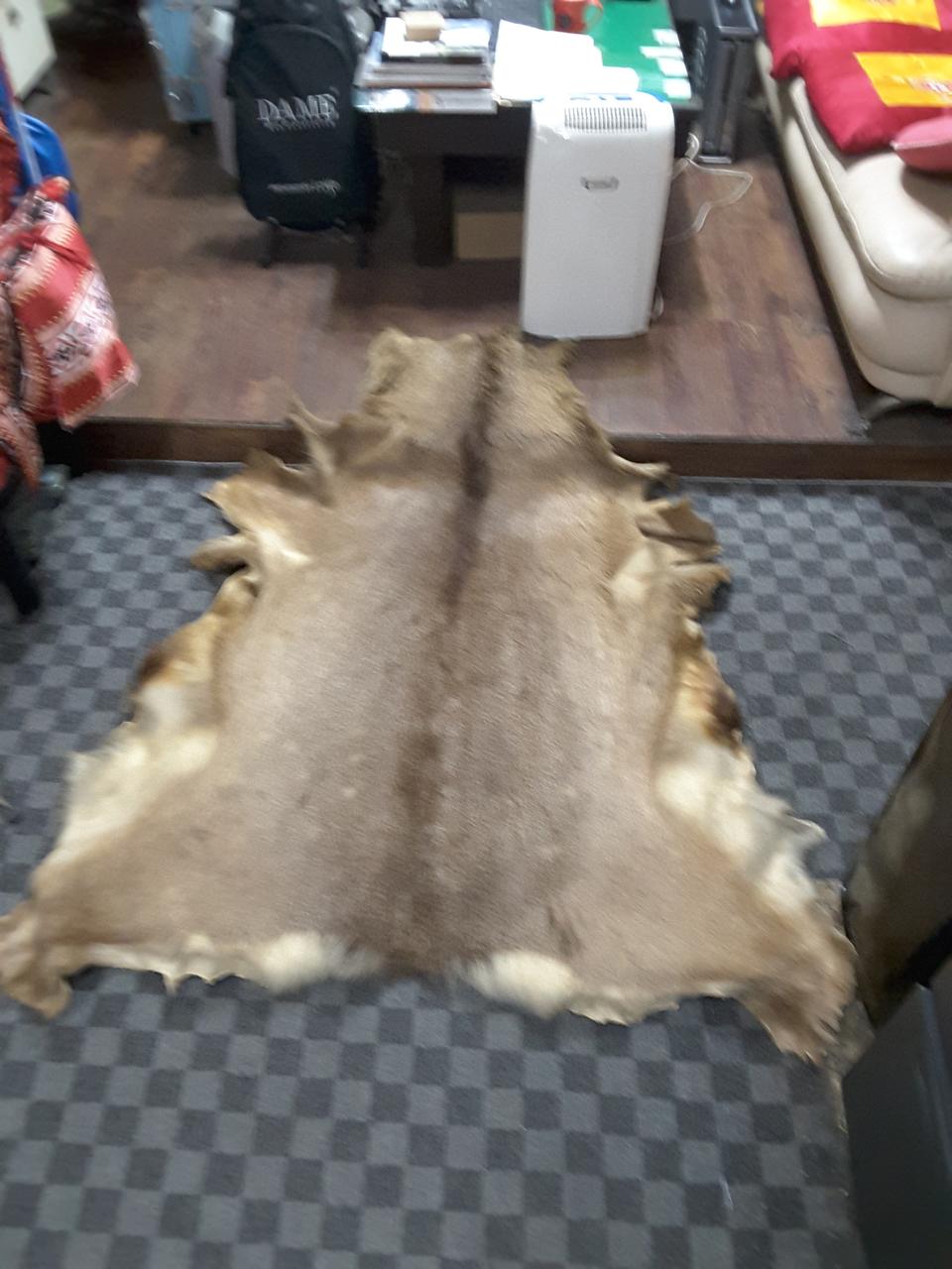 곰 가죽 인테리어로  좋습니다