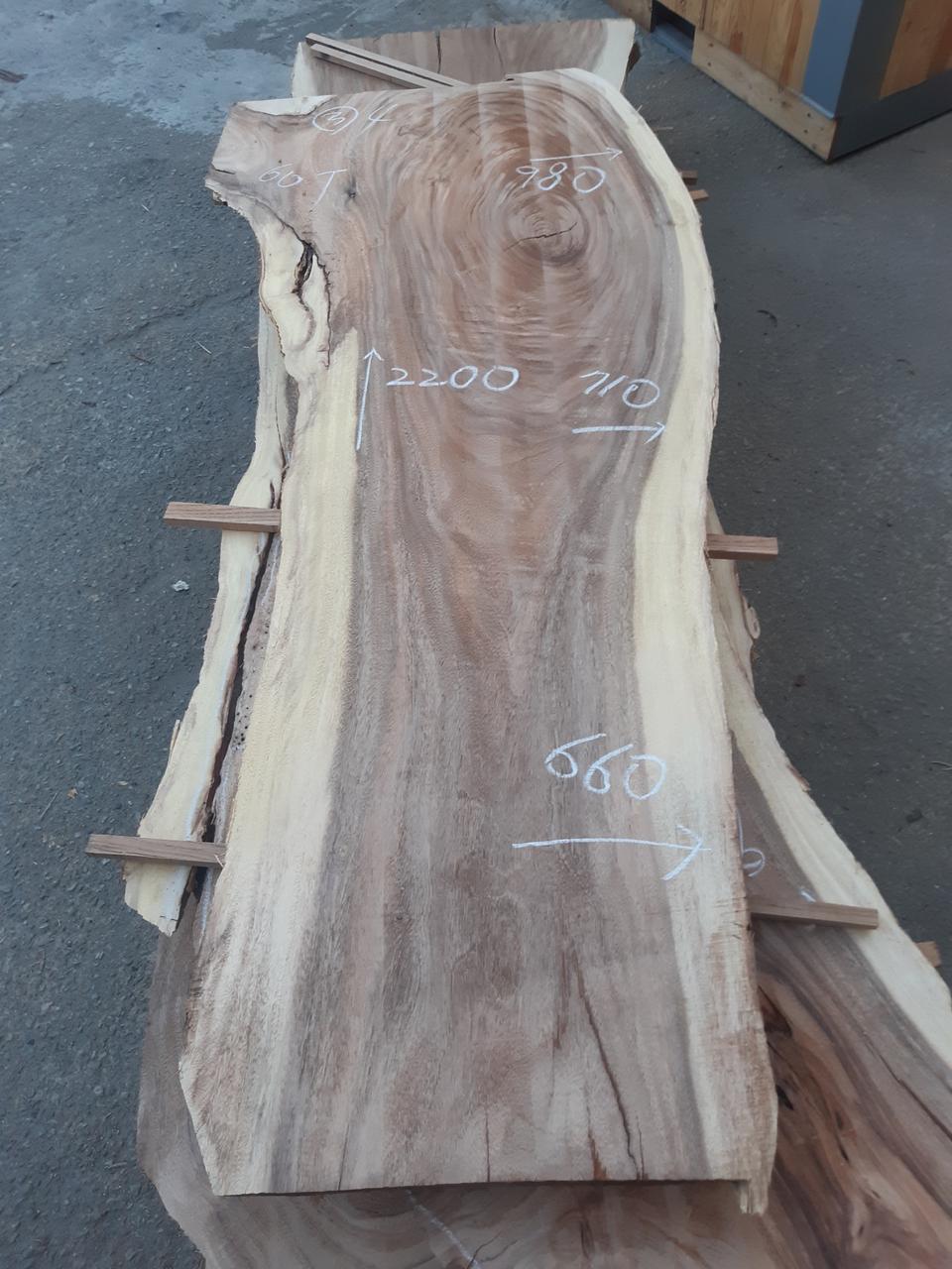 남미산 몽키포드 우드슬랩