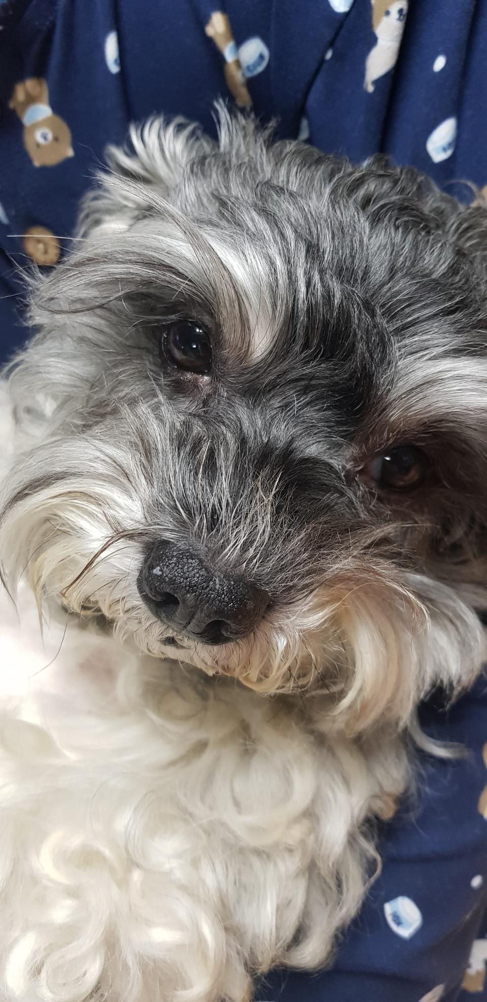 그리스로마신화