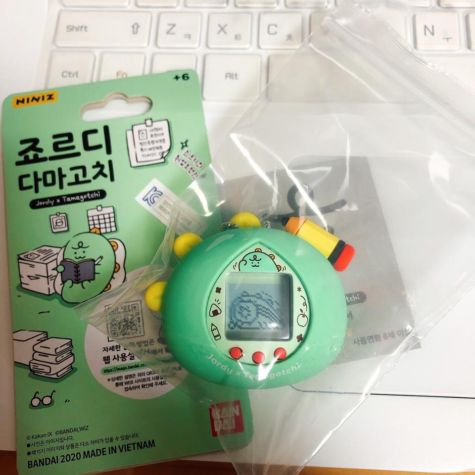 죠르디 취업 시키실 분