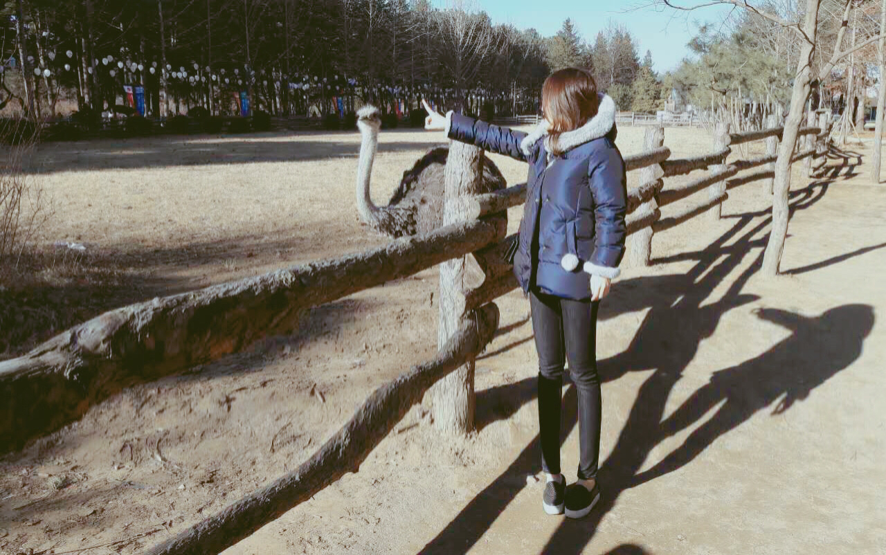 거의 새것) 빈폴키즈(정품)네이비 코튼 더블다운 (165cm) 14Y