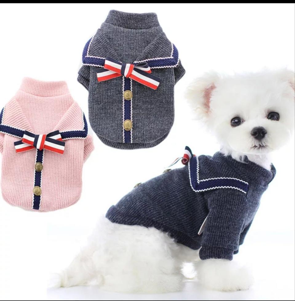 강아지 독브라운 리본 니트