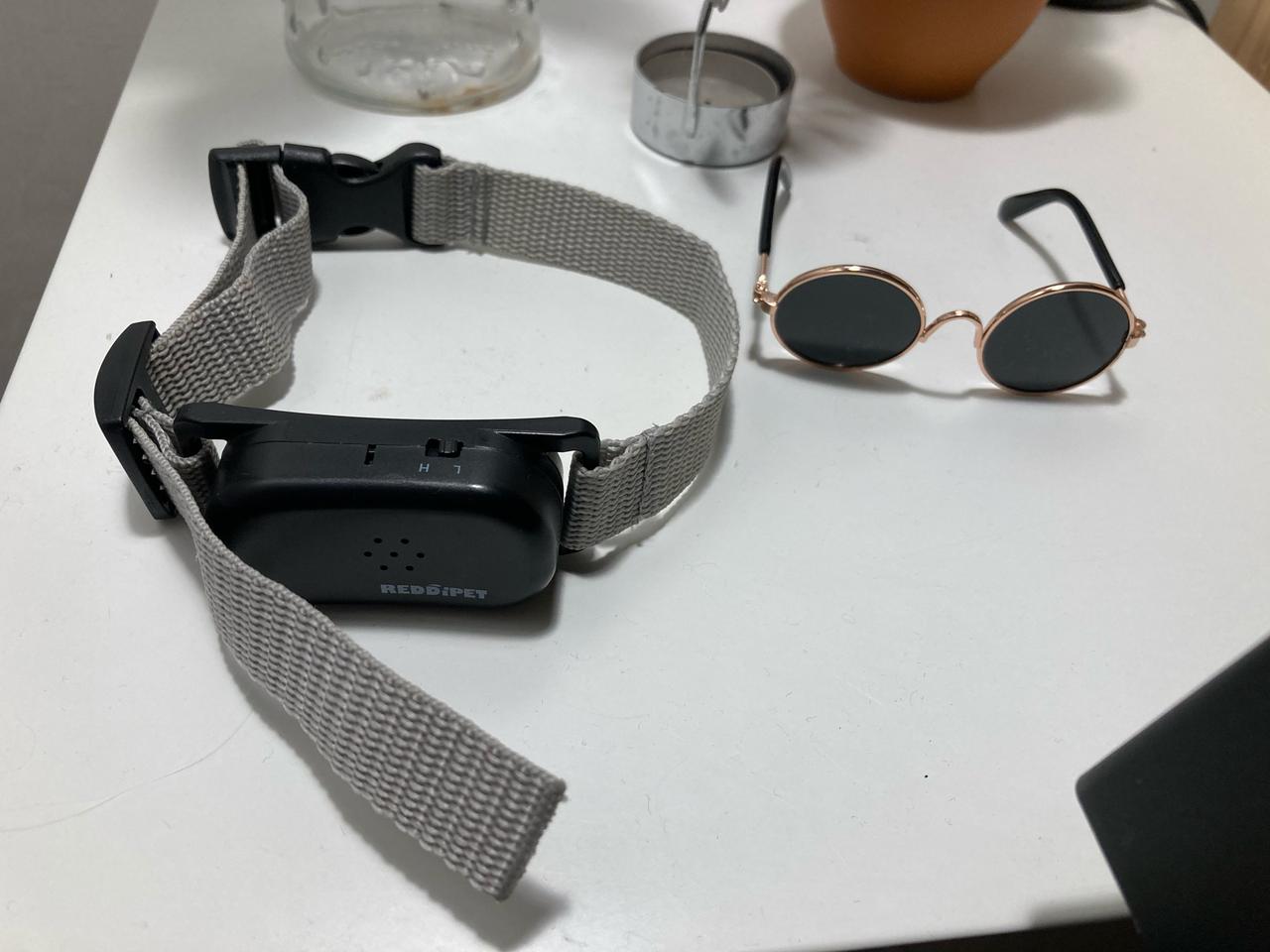 짖음방지기 (레디펫)