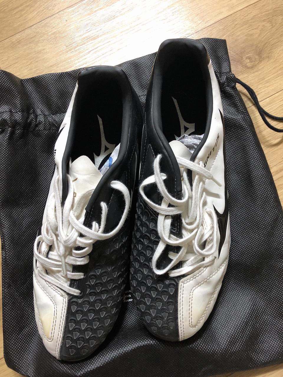 미즈노 이그니터스4